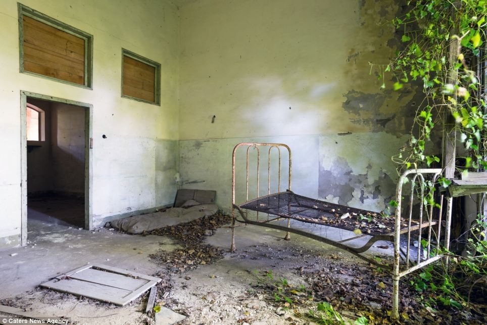 Đảo Poveglia nằm Venetian Lagoons, gần Venice, Italy. Hòn đảo này từng nhiều lần không có chủ sở hữu và việc xuất cảnh đến đây bị cấm. Thời kỳ duy nhất mà con người“ghé thăm” hòn đảo này là khi bước vào mùa thu hoạch nho.